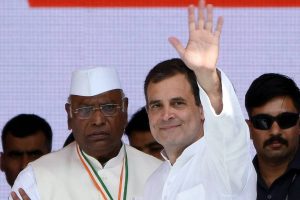 Kharge, Rahul thank people of HP for voting Congress back to power