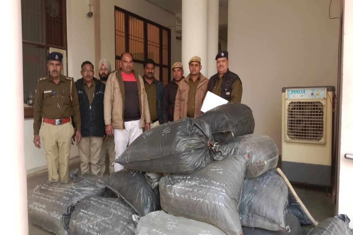 814 kg ‘doda post’ seized in Haryana’s Fatehabad
