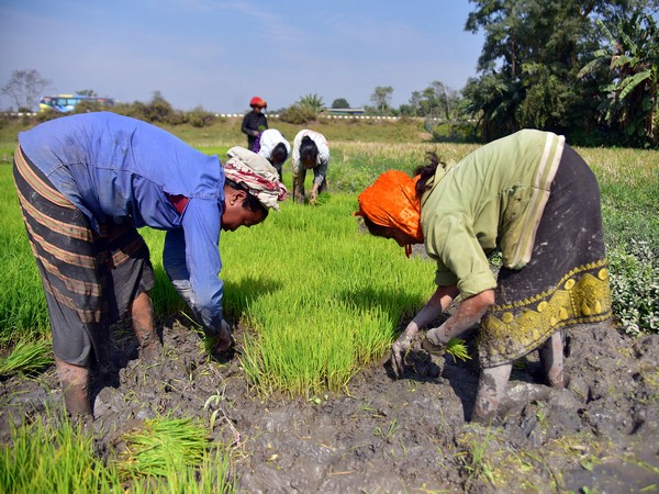 Facing farmers’ stir, Telangana govt backtracks on master plan