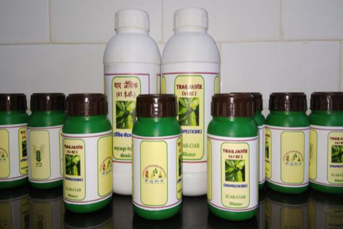 Now, botanical pesticide from bitter melon, cow's urine