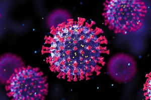 Everything you must know about influenza virus