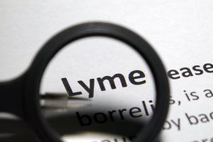 Lyme disease heightens risk of mental disorders, suicidality: Study