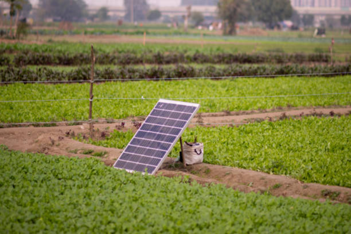 UP farmers to be able to install solar energy plants in their fields