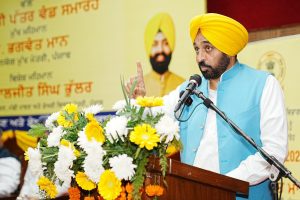 Ignore those trying to destabilise Punjab by inciting youth: Mann