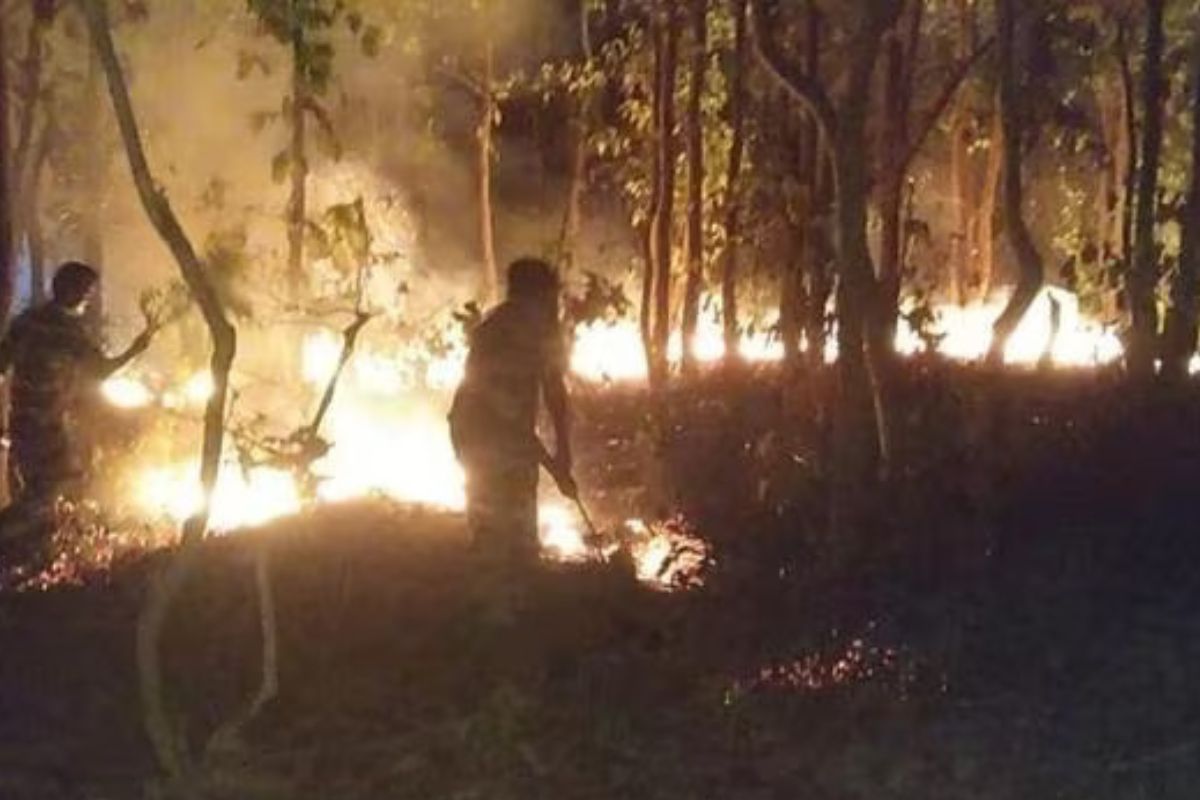Odisha records country’s highest forest fires in a week