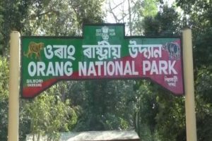 Royal Bengal tiger found dead in Assam’s Orang National Park