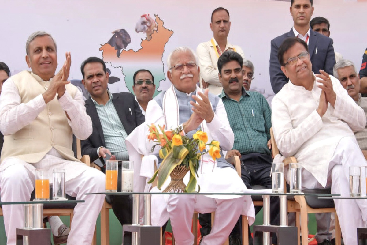 Making dedicated efforts for protection of cows: Khattar