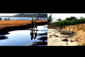 Coastal erosion in Goa a threat to sunshine state’s tourism economy