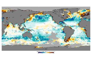 A decline in marine productivity and its consequences