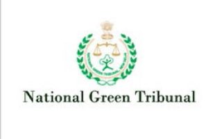 NGT orders suspension of clearance for Odisha steel project