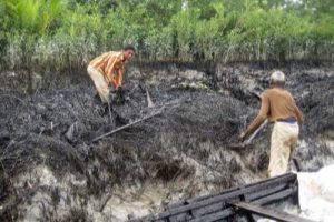 Bangladesh to ban single-use plastic items in Sundarbans