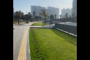 Social and Ecological Benefits of Public Landscape Design