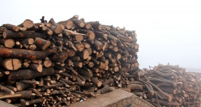 Death becomes expensive as wood prices soar in Lucknow