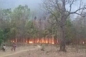 Amid raging forest fire in Odisha, Pradhan seeks deployment of chopper to contain blaze