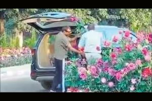 Man held for stealing flower pots