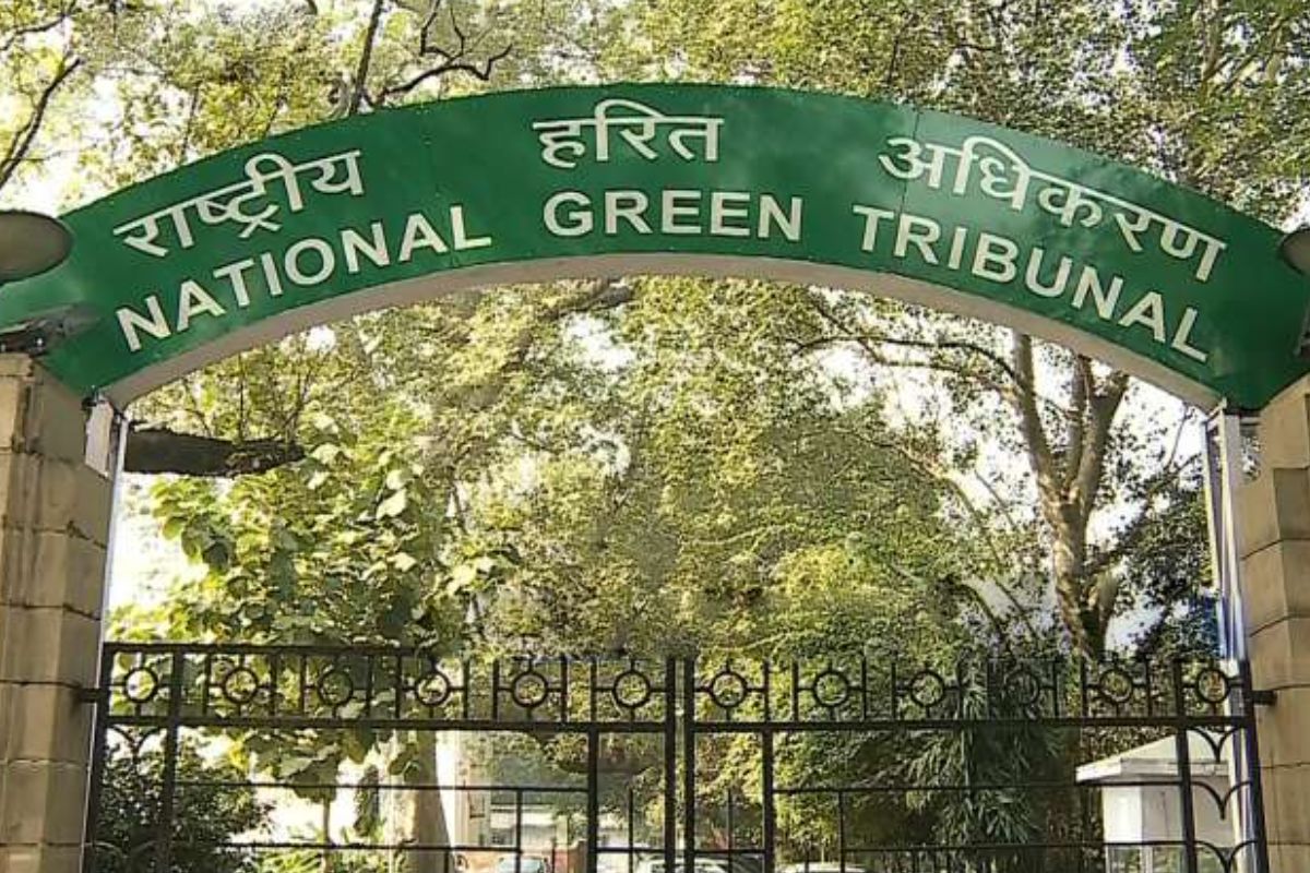 NGT stops construction in Sikharchandi Hills at Bhubaneswar