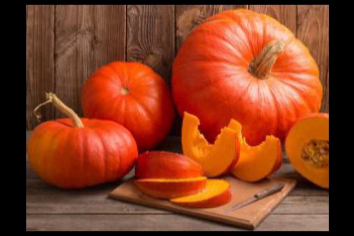 Exploring the health benefits of pumpkin for dog