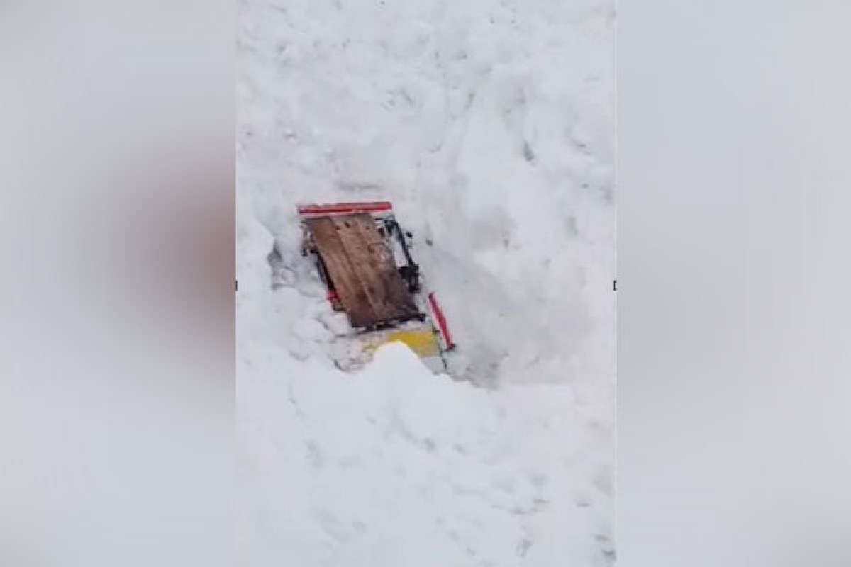 Five cars buried in snow after Avalanche occurs near Zojila Pass in Ladakh, no casualties