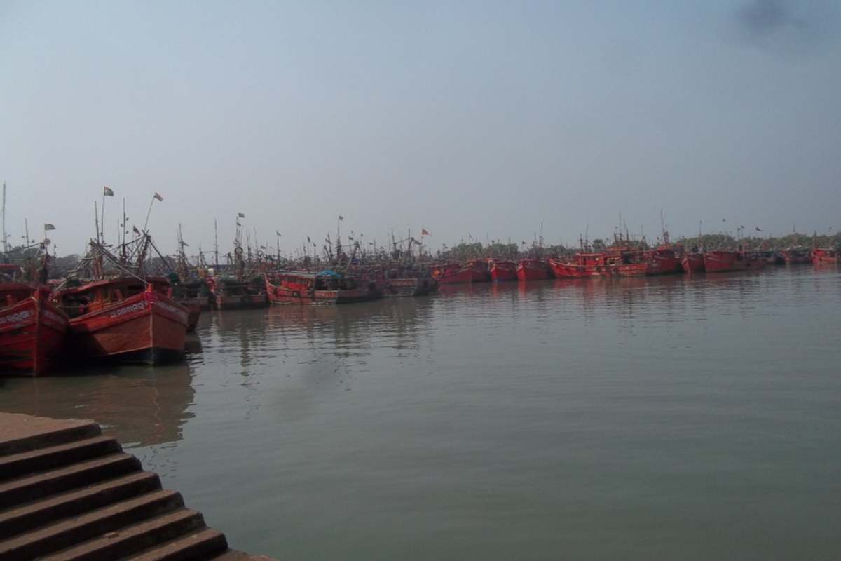 Sea fishing prohibition enforced in Odisha for undisturbed breeding