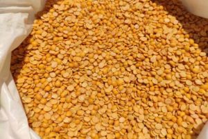 Centre closely monitoring stocks of Tur and Urad