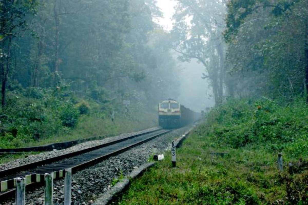 Railway tracks to be shifted from Palamu Tiger Reserve