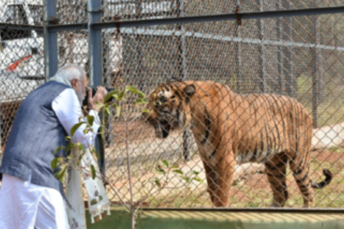 Mysuru: PM Modi launches International Big Cats Alliance on Commemoration of 50 years of ‘Project Tiger’
