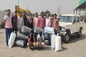 1.75 quintals of ‘doda post’ seized in Haryana, 2 held