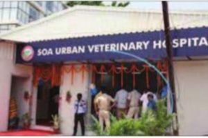 SOA Vet shop treats over 5500 animal in one year