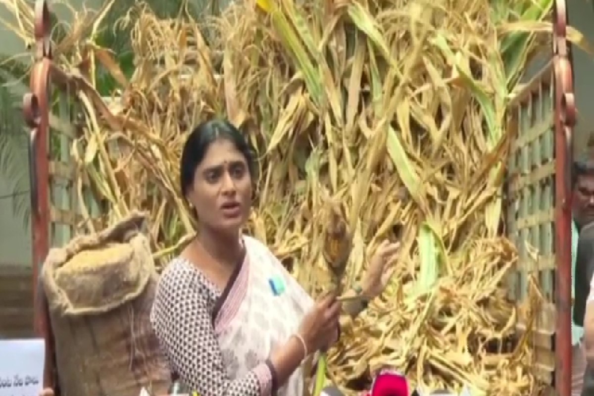 Sharmila sends truckload of crops to ‘wake up’ KCR