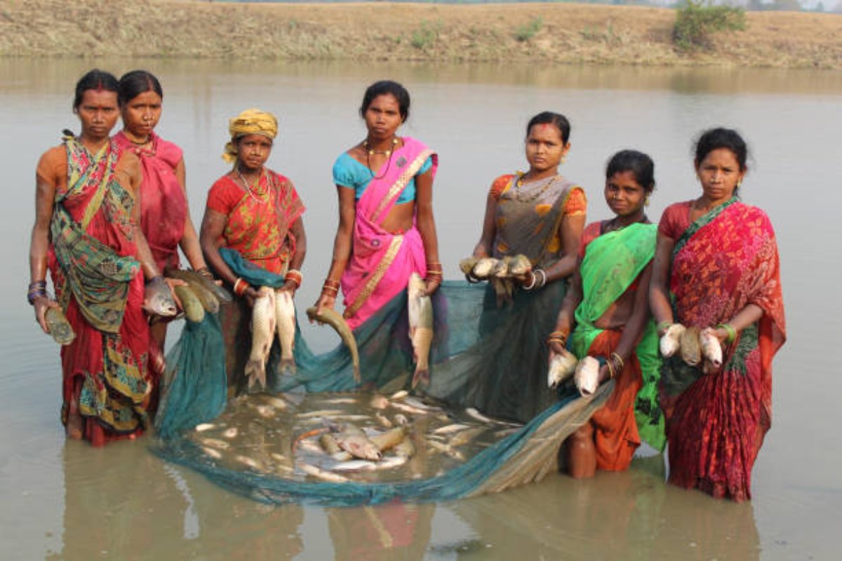 HP government to promote fish farming in a big way