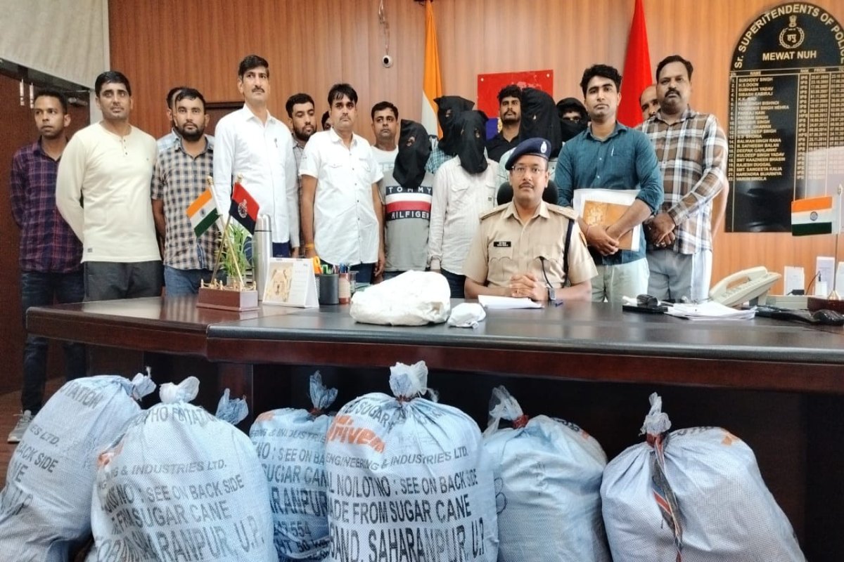 Operation Dhwast: Haryana Police recovers 1300 kg drugs