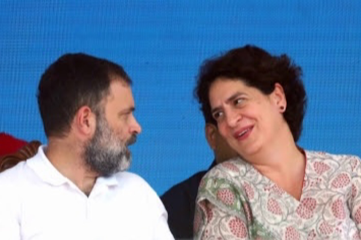 About 25% feel Rahul will prove beneficial in MP, followed by Priyanka: Survey
