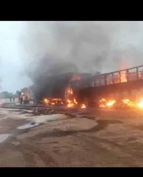 5 people, 12 cattle charred to death as three trucks collide on Jaipur-Ajmer Highway