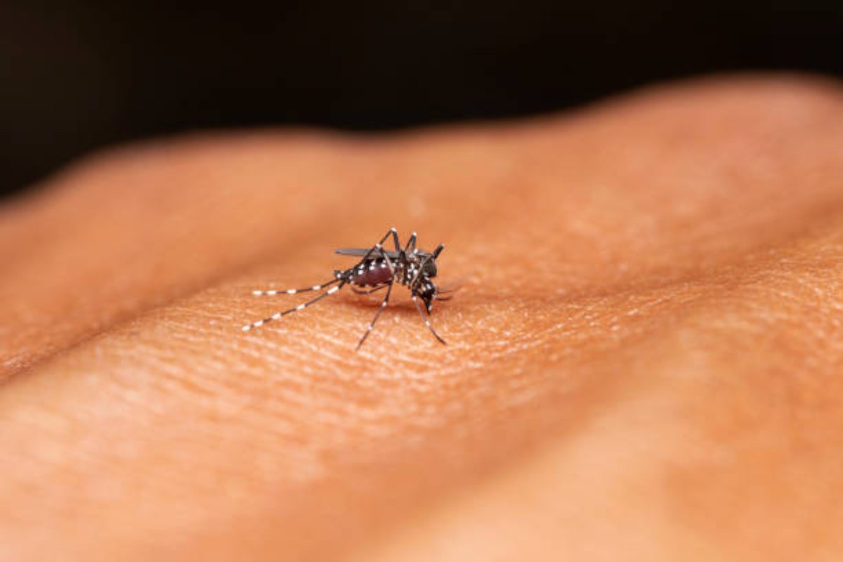 One more dengue death in Salt Lake