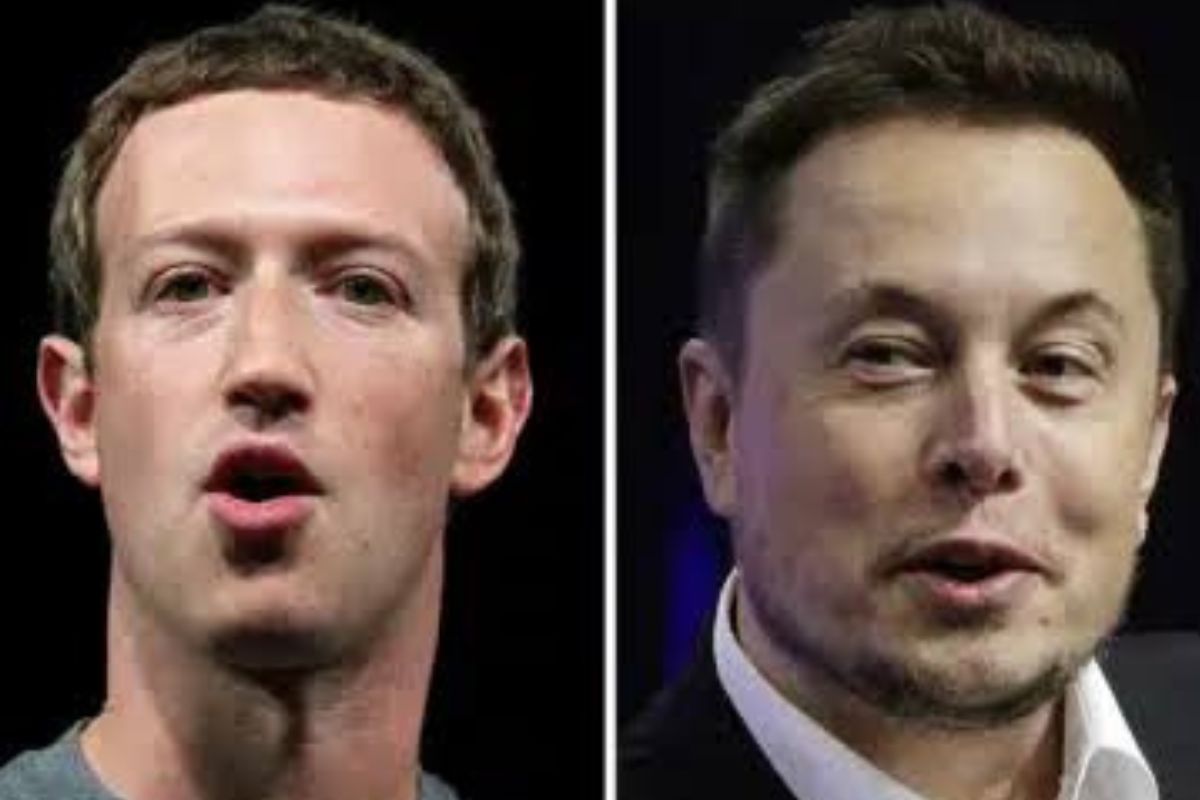 Who will win Elon Musk-Zuckerberg caged fight, as Musk challenges the latter?