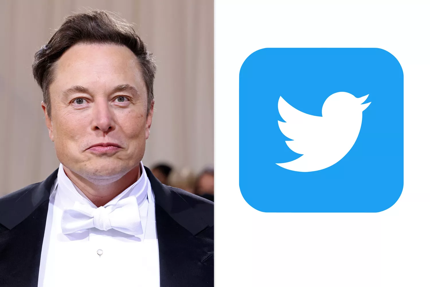 Musk urges Twitter users to get verified and earn thousands of dollars