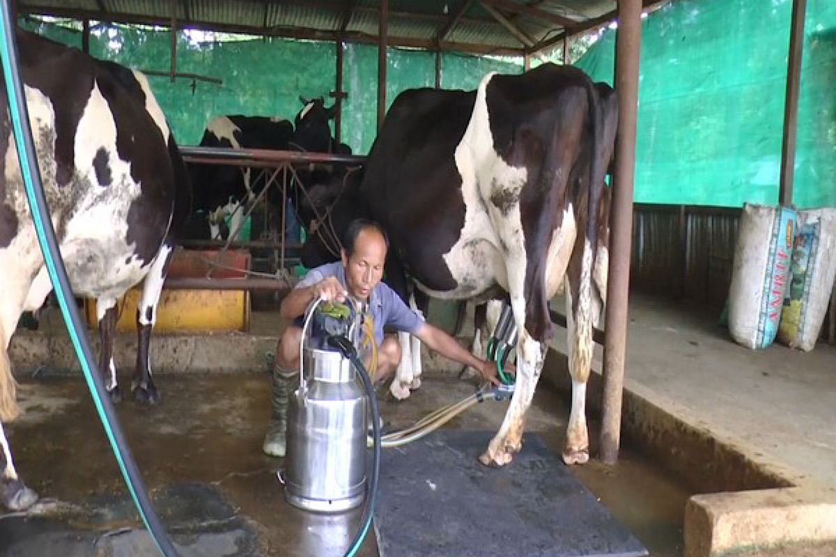 India’s Milky Way: From deficit to surplus, India’s spectacular milk production journey