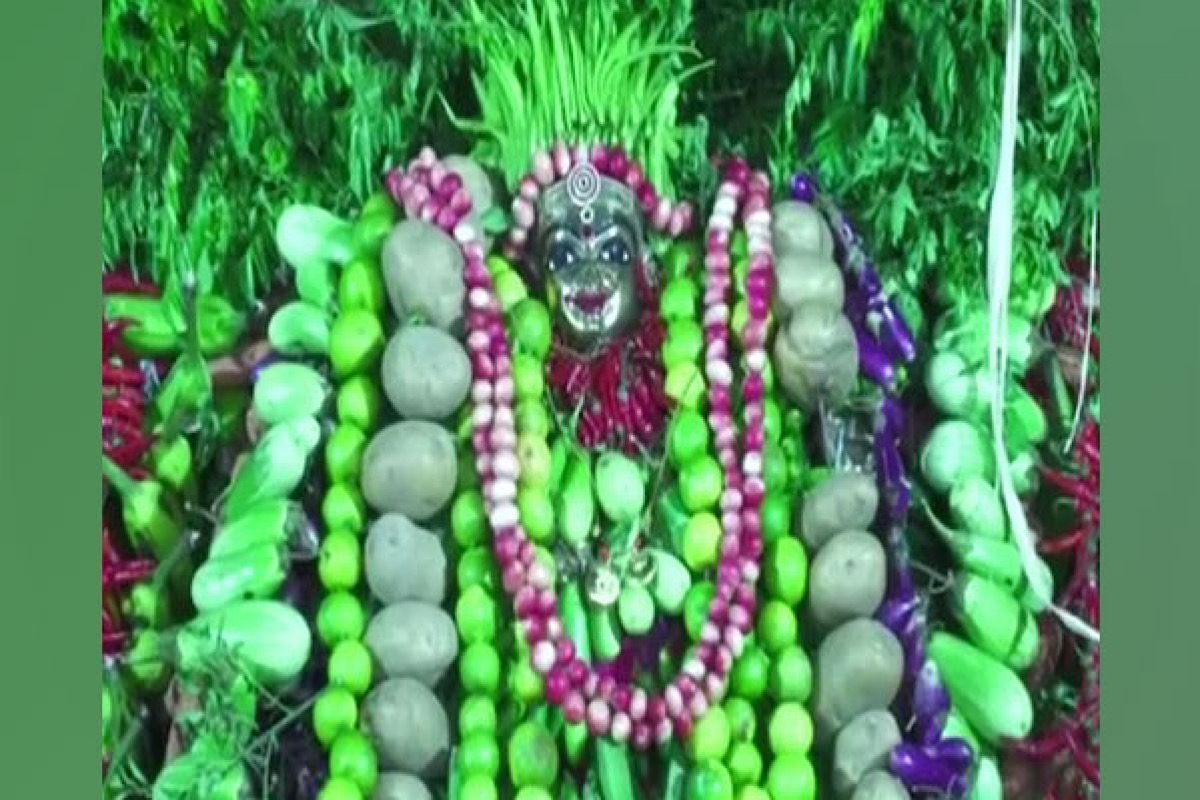 Andhra Pradesh: Three-day Shakambari Festival begins in Vijayawada