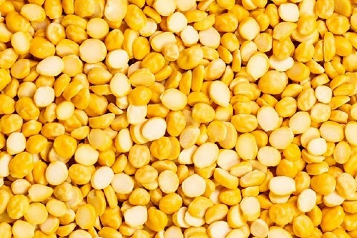 Govt launches chana dal at subsidised rates under brand name