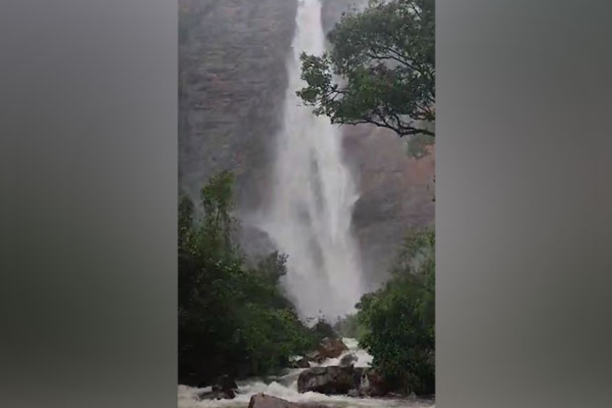 Telangana: Over 40 tourists stranded at Muthyala Dhara waterfalls in Mulugu, rescue operations underway