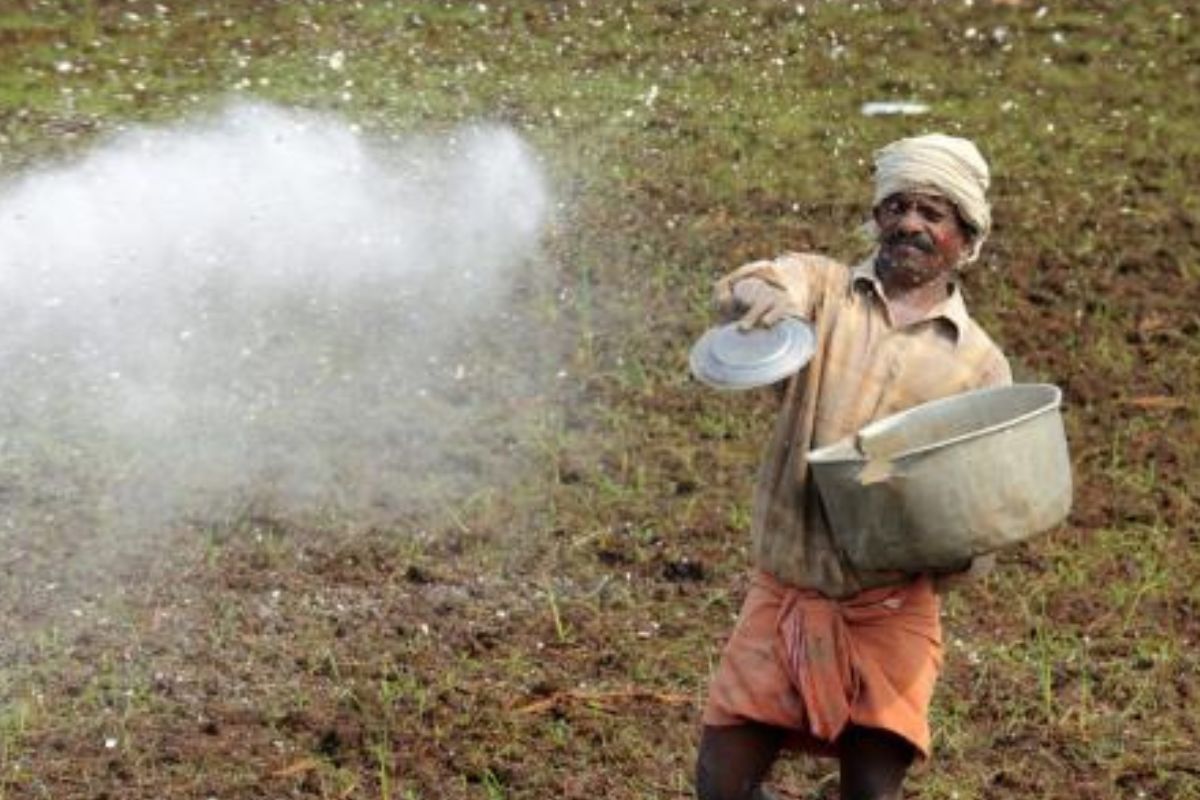 Work together to offset negative impact of fertilizers: Mansukh Mandaviya