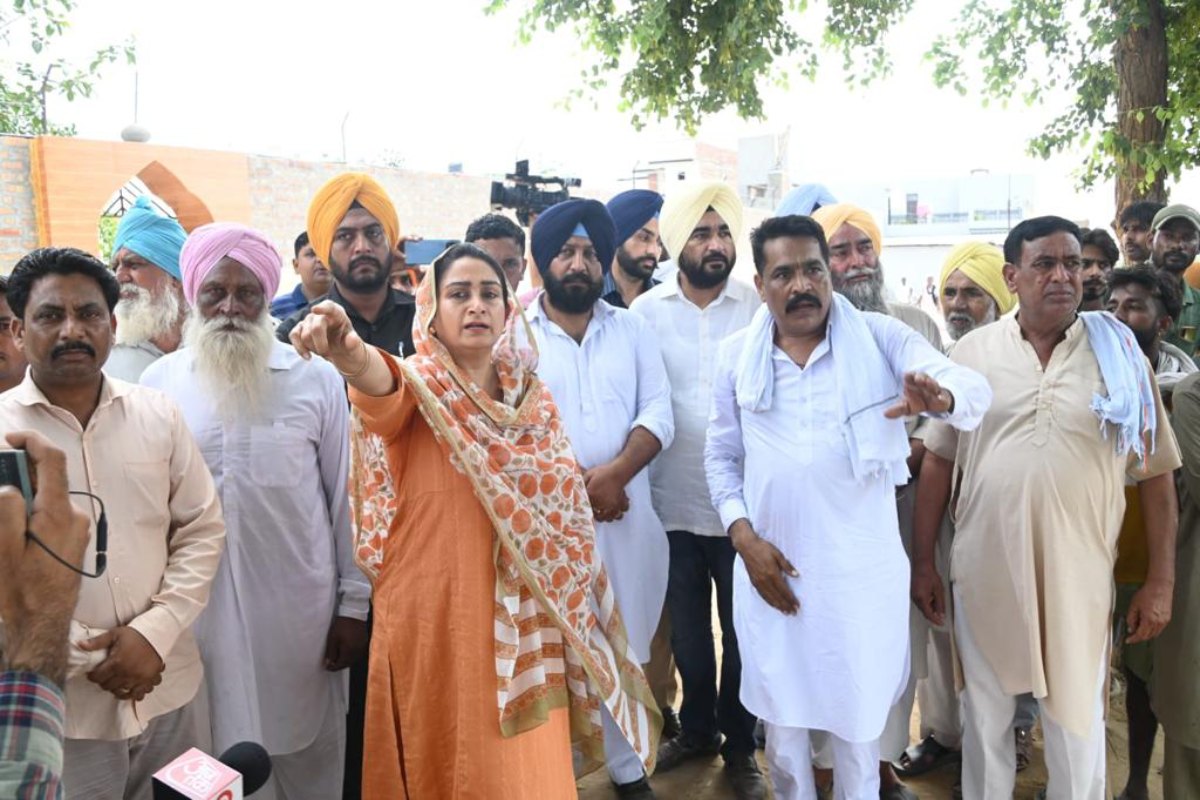 Mann is implementing Centre’s agenda to end MSP on paddy: Harsimrat