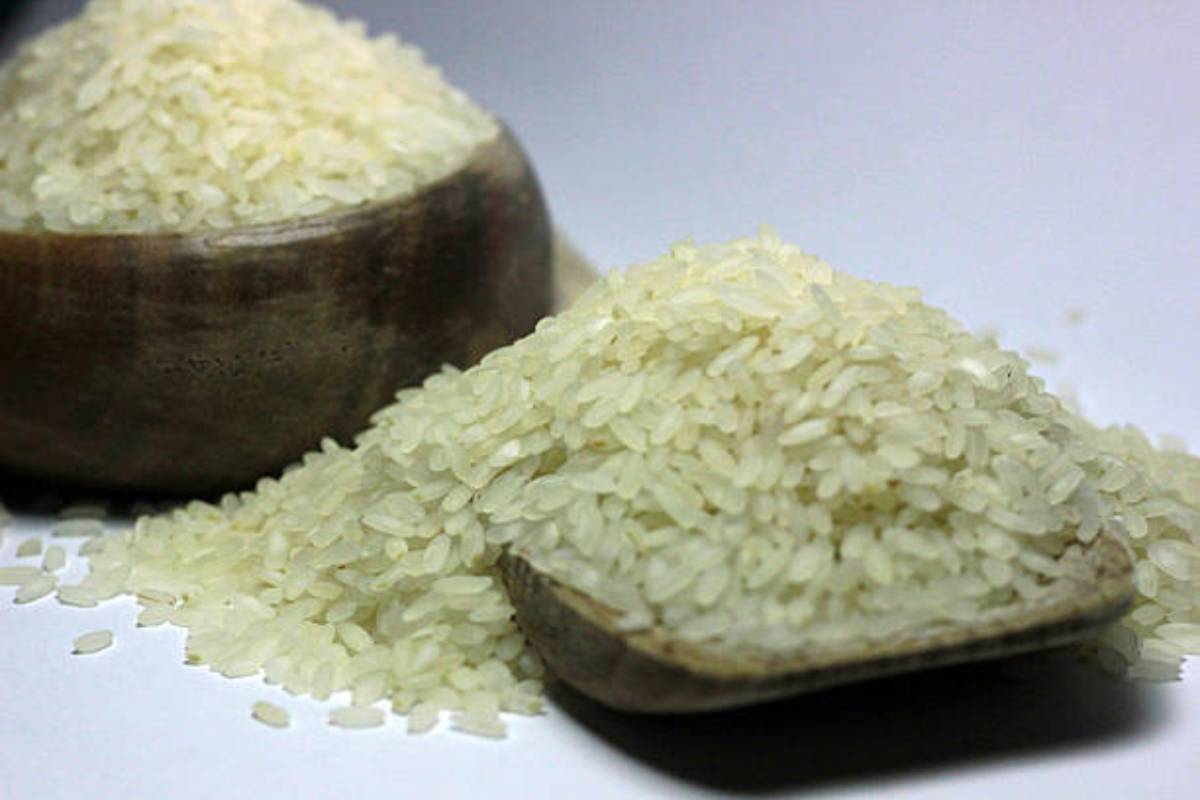 Centre prohibits export of non-basmati white rice