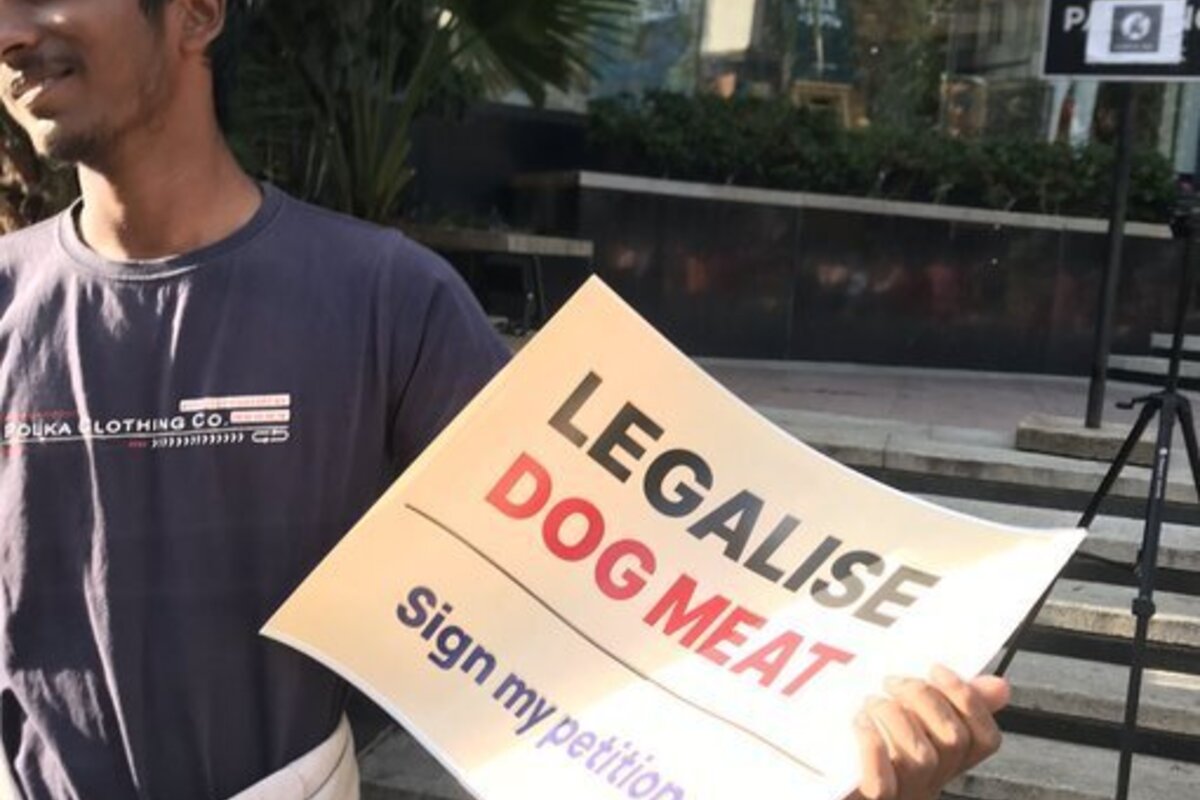 ‘Legalise dog meat’ placard in Bengaluru sparks debate on X