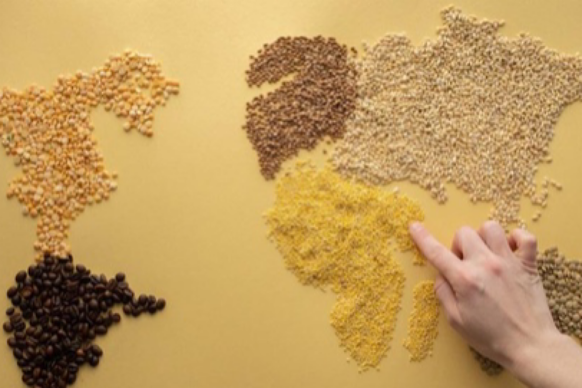 Discover the healthy world of alternative grains