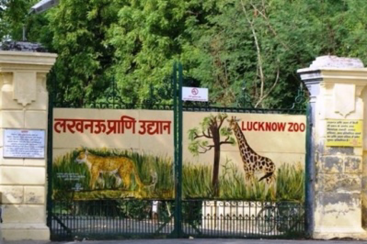 Rescued exotic animals now in Lucknow zoo