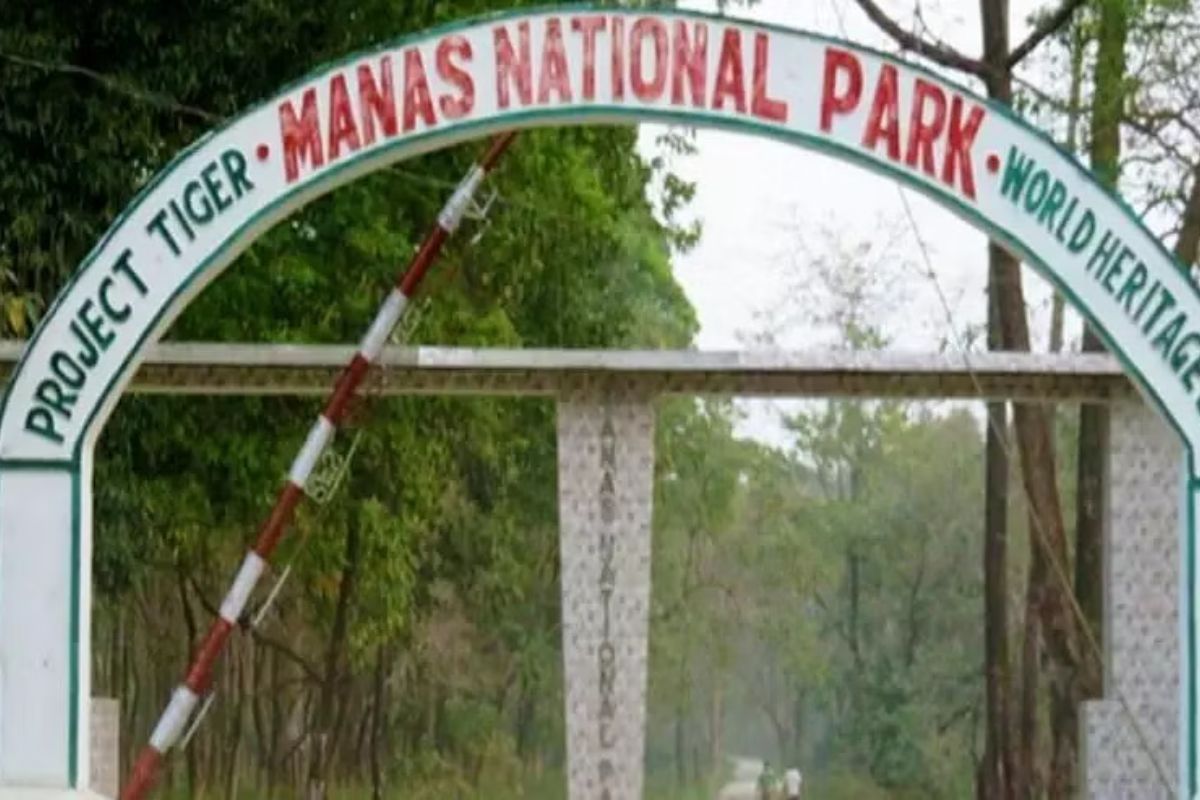 Manas National Park in Assam to reopen on October 1