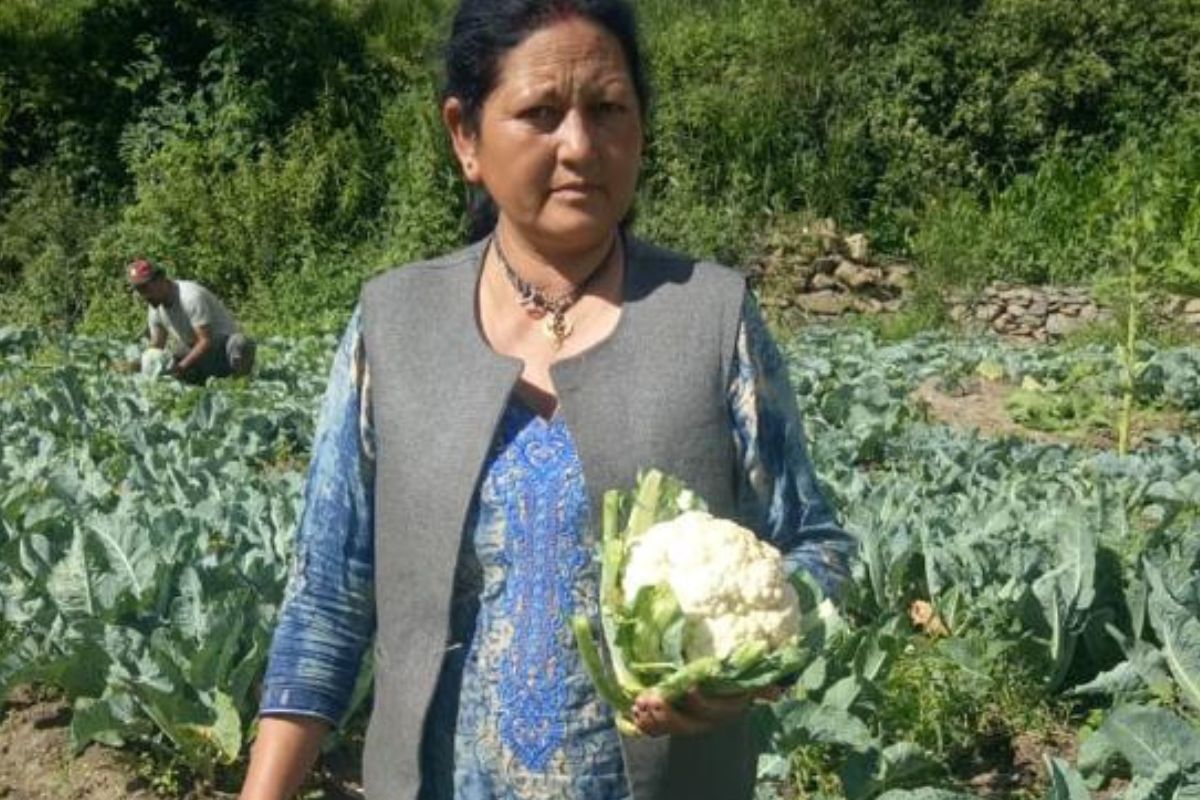 Farm fresh natural vegetables to be sold on wheels in Shimla