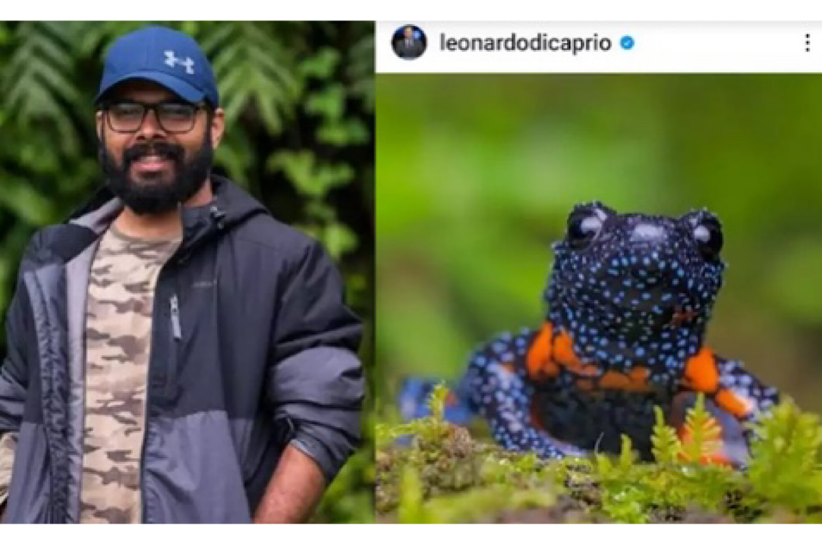 Leo DiCaprio shares picture of galaxy frog shot by Indian researcher in the Western Ghats