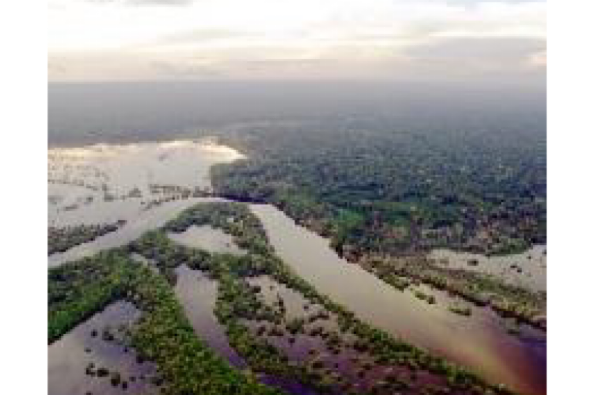Brazil’s Rio Negro river registers lowest water level since 1902